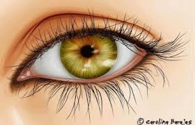 A importância do tratamento dos olhos em RPG: A visão binocular